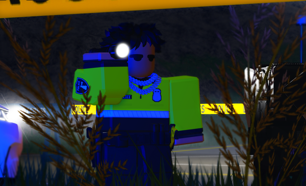 CCPD3picture.png